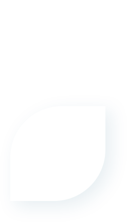 elements_02-2